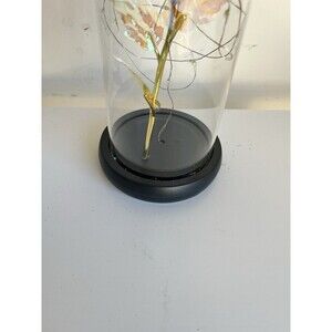 New Eternal Forever Romantic Rose Flower In Glass Dome LED Light Birthday Gifts